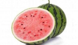 免费吃麒麟瓜,夏日清凉美食盛宴来袭！